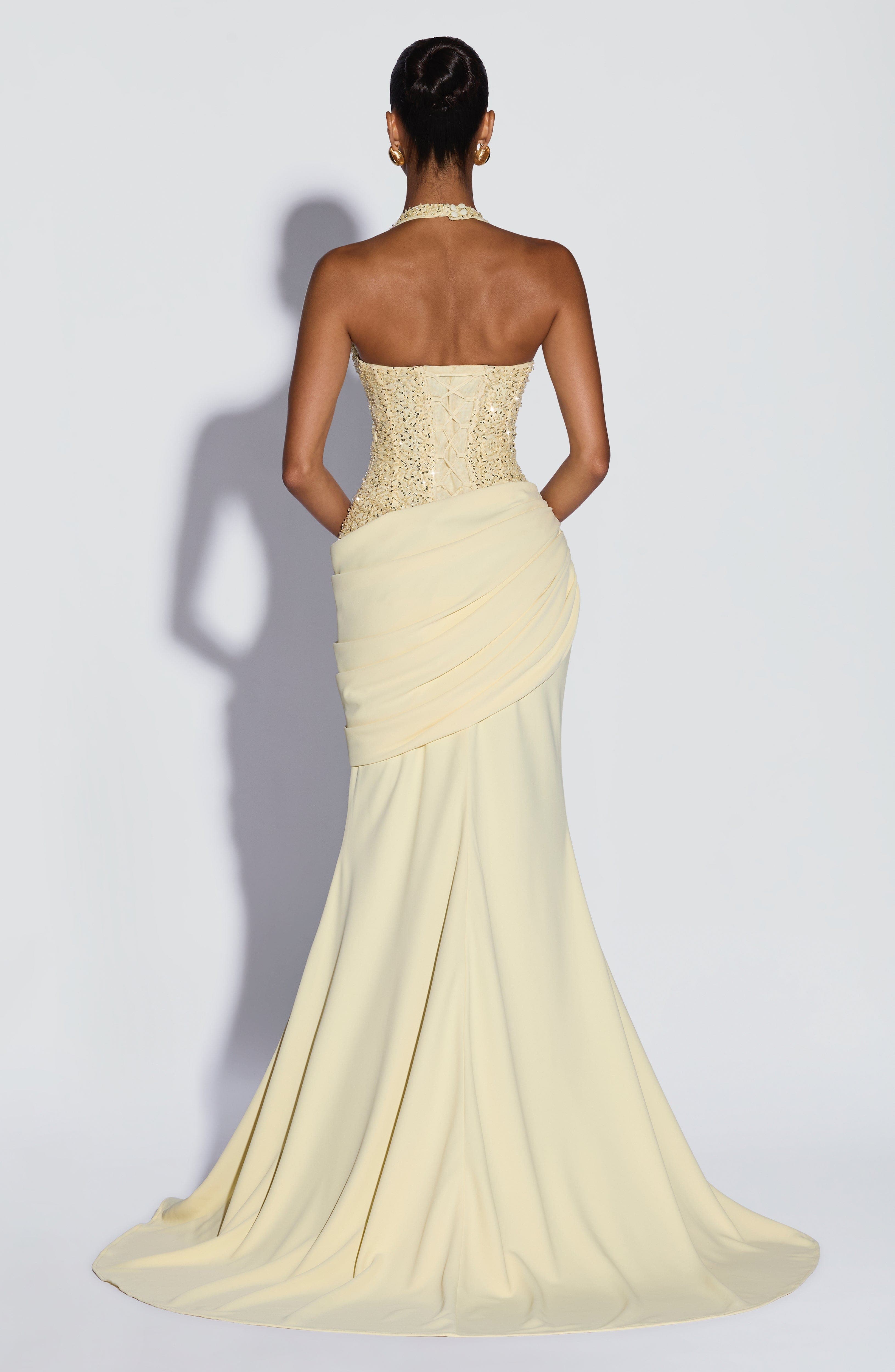Luxury Halter V Sequin Maxi Go - огляд і ціна Female Formal Wear